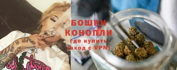стаф Белокуриха