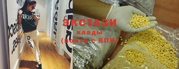индика Бронницы