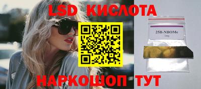 прущие грибы Краснодар