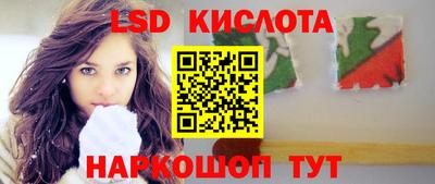 прущие грибы Краснодар