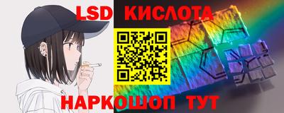 прущие грибы Краснодар