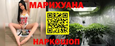 прущие грибы Краснодар