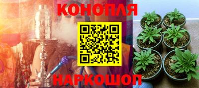 прущие грибы Краснодар