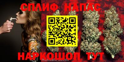прущие грибы Краснодар