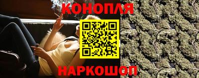 прущие грибы Краснодар