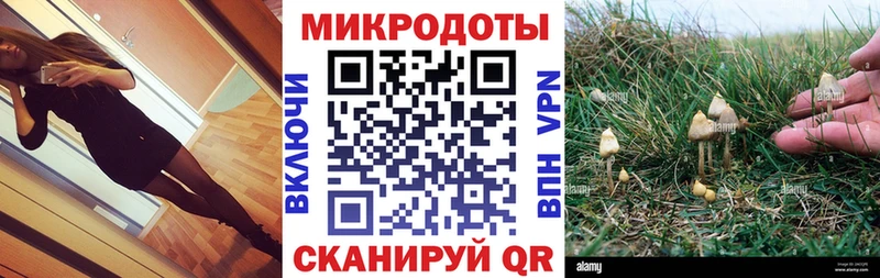 Псилоцибиновые грибы MAGIC MUSHROOMS  Ессентуки 