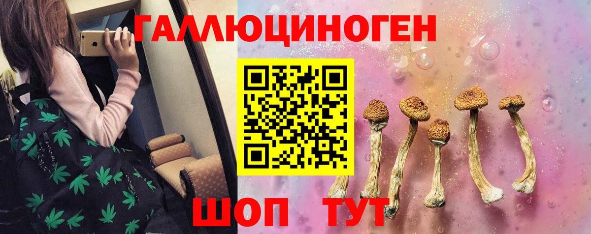 Галлюциногенные грибы Psilocybine cubensis Ессентуки