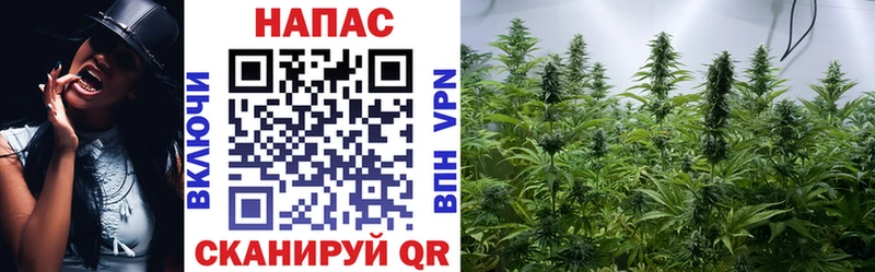 Каннабис MAZAR  магазин    Ессентуки 